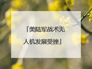 美陆军战术无人机发展受挫