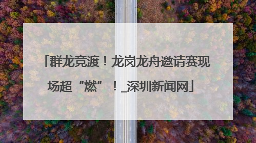 群龙竞渡！龙岗龙舟邀请赛现场超“燃”！_深圳新闻网