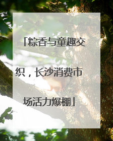 粽香与童趣交织，长沙消费市场活力爆棚