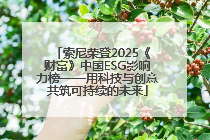 索尼荣登2025《财富》中国ESG影响力榜——用科技与创意共筑可持续的未来
