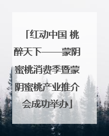 红动中国 桃醉天下——蒙阴蜜桃消费季暨蒙阴蜜桃产业推介会成功举办