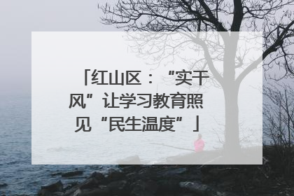 红山区：“实干风”让学习教育照见“民生温度”