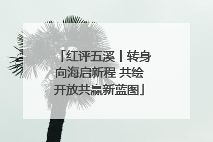 红评五溪丨转身向海启新程 共绘开放共赢新蓝图