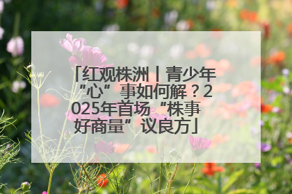 红观株洲丨青少年“心”事如何解？2025年首场“株事好商量”议良方