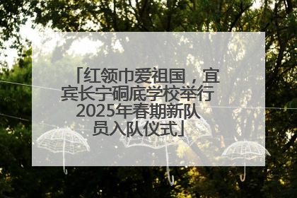 红领巾爱祖国，宜宾长宁硐底学校举行2025年春期新队员入队仪式