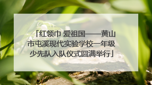 红领巾 爱祖国——黄山市屯溪现代实验学校一年级少先队入队仪式圆满举行