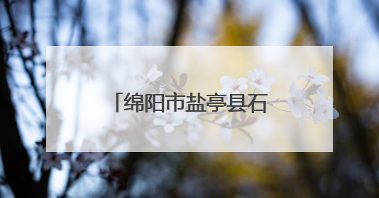 绵阳市盐亭县石龙幼儿园举行大班毕业典礼暨延时托管服务成果展