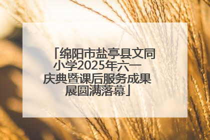 绵阳市盐亭县文同小学2025年六一庆典暨课后服务成果展圆满落幕
