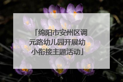 绵阳市安州区调元路幼儿园开展幼小衔接主题活动