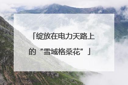 绽放在电力天路上的“雪域格桑花”