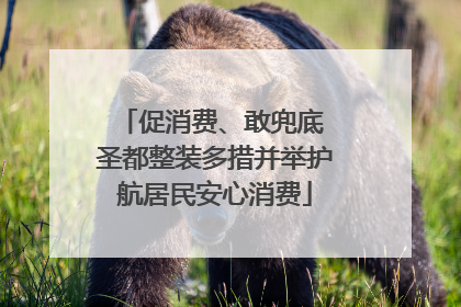 促消费、敢兜底 圣都整装多措并举护航居民安心消费