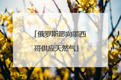 俄罗斯愿向墨西哥供应天然气