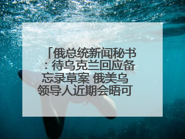 俄总统新闻秘书：待乌克兰回应备忘录草案 俄美乌领导人近期会晤可能性小