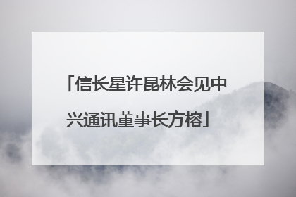 信长星许昆林会见中兴通讯董事长方榕