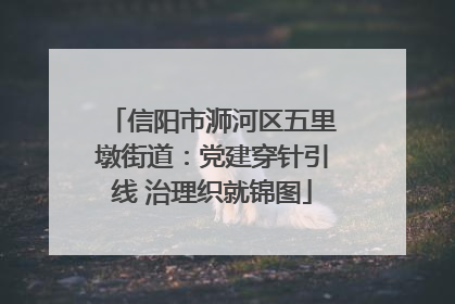信阳市浉河区五里墩街道：党建穿针引线 治理织就锦图