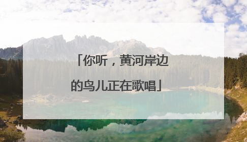 你听，黄河岸边的鸟儿正在歌唱