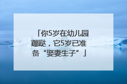 你5岁在幼儿园蹦跶，它5岁已准备“娶妻生子”