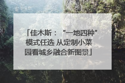 佳木斯：“一地四种” 模式任选 从定制小菜园看城乡融合新图景