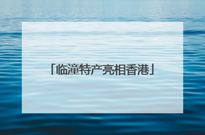 临潼特产亮相香港
