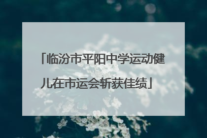 临汾市平阳中学运动健儿在市运会斩获佳绩