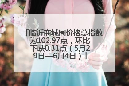 临沂商城周价格总指数为102.97点，环比下跌0.31点（5月29日—6月4日）