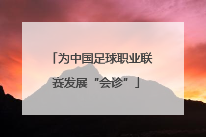 为中国足球职业联赛发展“会诊”