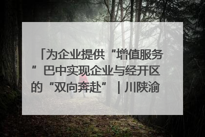 为企业提供“增值服务”巴中实现企业与经开区的“双向奔赴”｜川陕渝网络名人巴中行