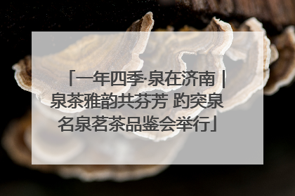 一年四季·泉在济南｜泉茶雅韵共芬芳 趵突泉名泉茗茶品鉴会举行