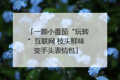 一颗小番茄“玩转”互联网 枝头鲜味变手头表情包