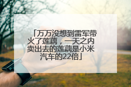 万万没想到雷军带火了莲藕，一天之内卖出去的莲藕是小米汽车的22倍