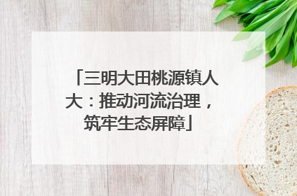 三明大田桃源镇人大：推动河流治理，筑牢生态屏障
