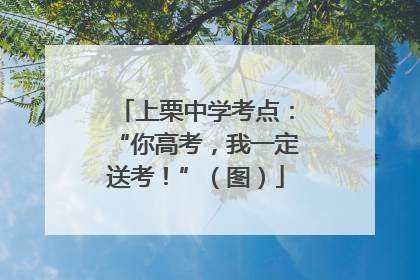 上栗中学考点：“你高考，我一定送考！”（图）