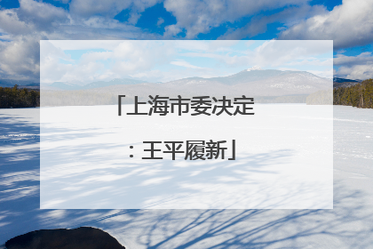 上海市委决定：王平履新