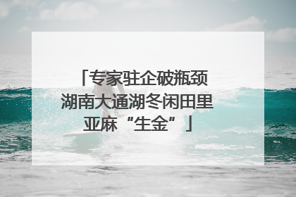 专家驻企破瓶颈 湖南大通湖冬闲田里亚麻“生金”