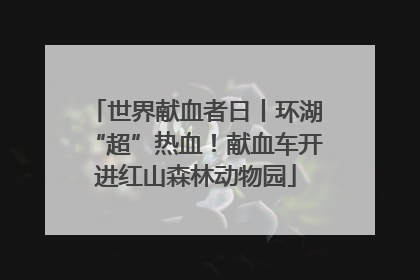 世界献血者日丨环湖“超”热血！献血车开进红山森林动物园