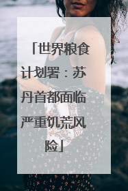 世界粮食计划署：苏丹首都面临严重饥荒风险