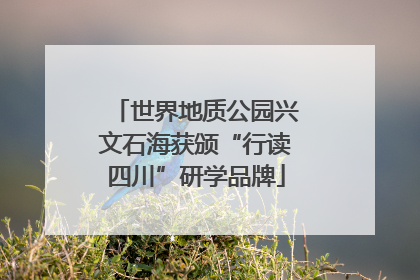 世界地质公园兴文石海获颁“行读四川”研学品牌