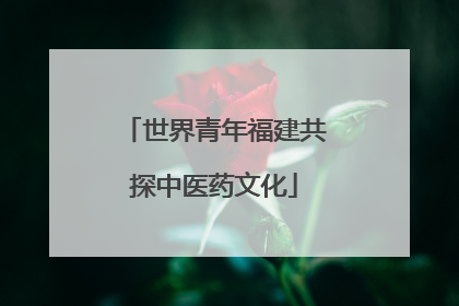 世界青年福建共探中医药文化
