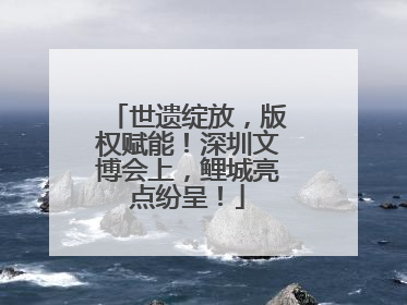 世遗绽放，版权赋能！深圳文博会上，鲤城亮点纷呈！