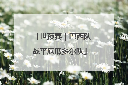 世预赛｜巴西队战平厄瓜多尔队