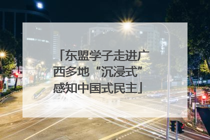 东盟学子走进广西多地“沉浸式”感知中国式民主