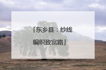东乡县：纱线编织致富路