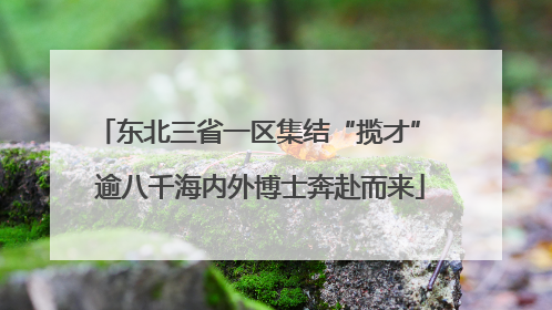 东北三省一区集结“揽才” 逾八千海内外博士奔赴而来
