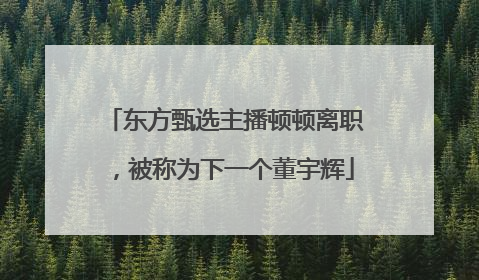 东方甄选主播顿顿离职，被称为下一个董宇辉