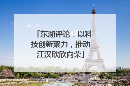 东湖评论：以科技创新聚力，推动江汉欣欣向荣