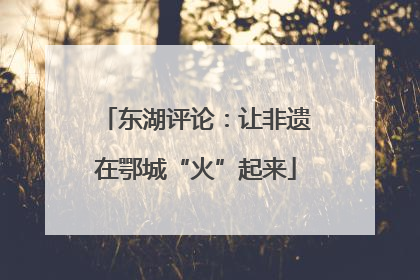 东湖评论：让非遗在鄂城“火”起来