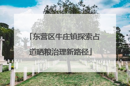 东营区牛庄镇探索占道晒粮治理新路径