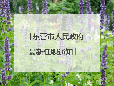 东营市人民政府最新任职通知