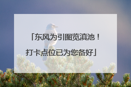 东风为引图览滇池！打卡点位已为您备好
