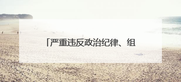 严重违反政治纪律、组织纪律、廉洁纪律、工作纪律和生活纪律的罗璇，非法收受他人巨额财物